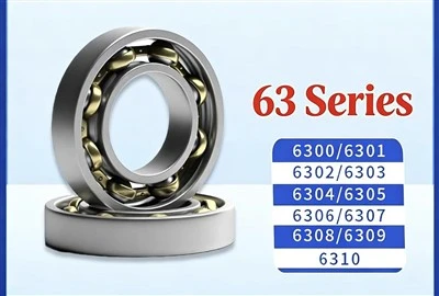 6302 rulmanli rulman